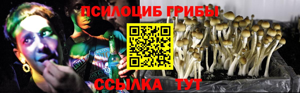 Галлюциногенные грибы Cubensis  Псилоцибиновые грибы Psilocybe  закладка  Вход с VPN  Соликамск 